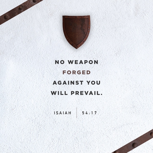 Shield - No Weapon